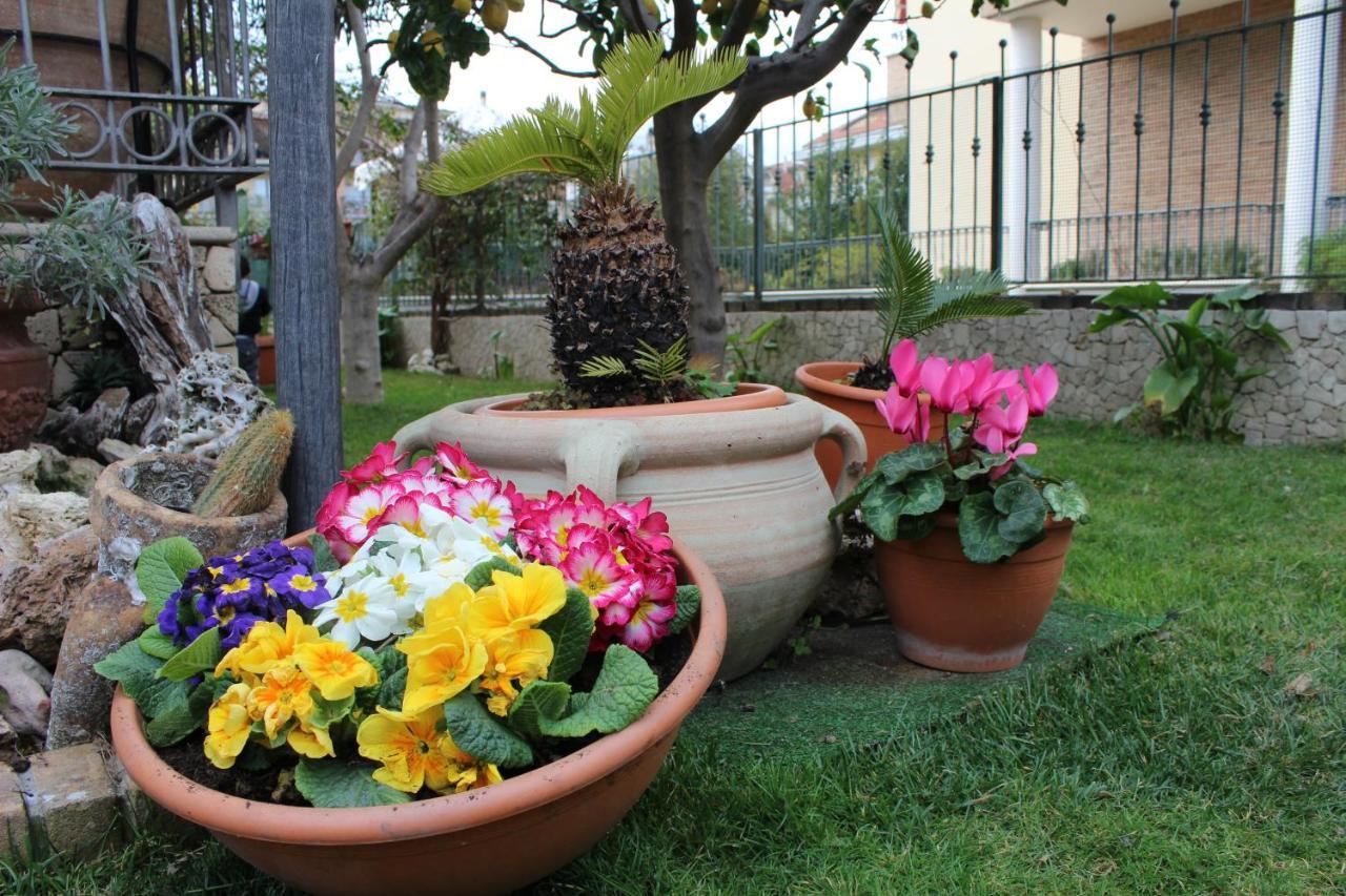 B&B Villa Lilla Σαν Μπενεντέτο ντελ Τρόντο Εξωτερικό φωτογραφία